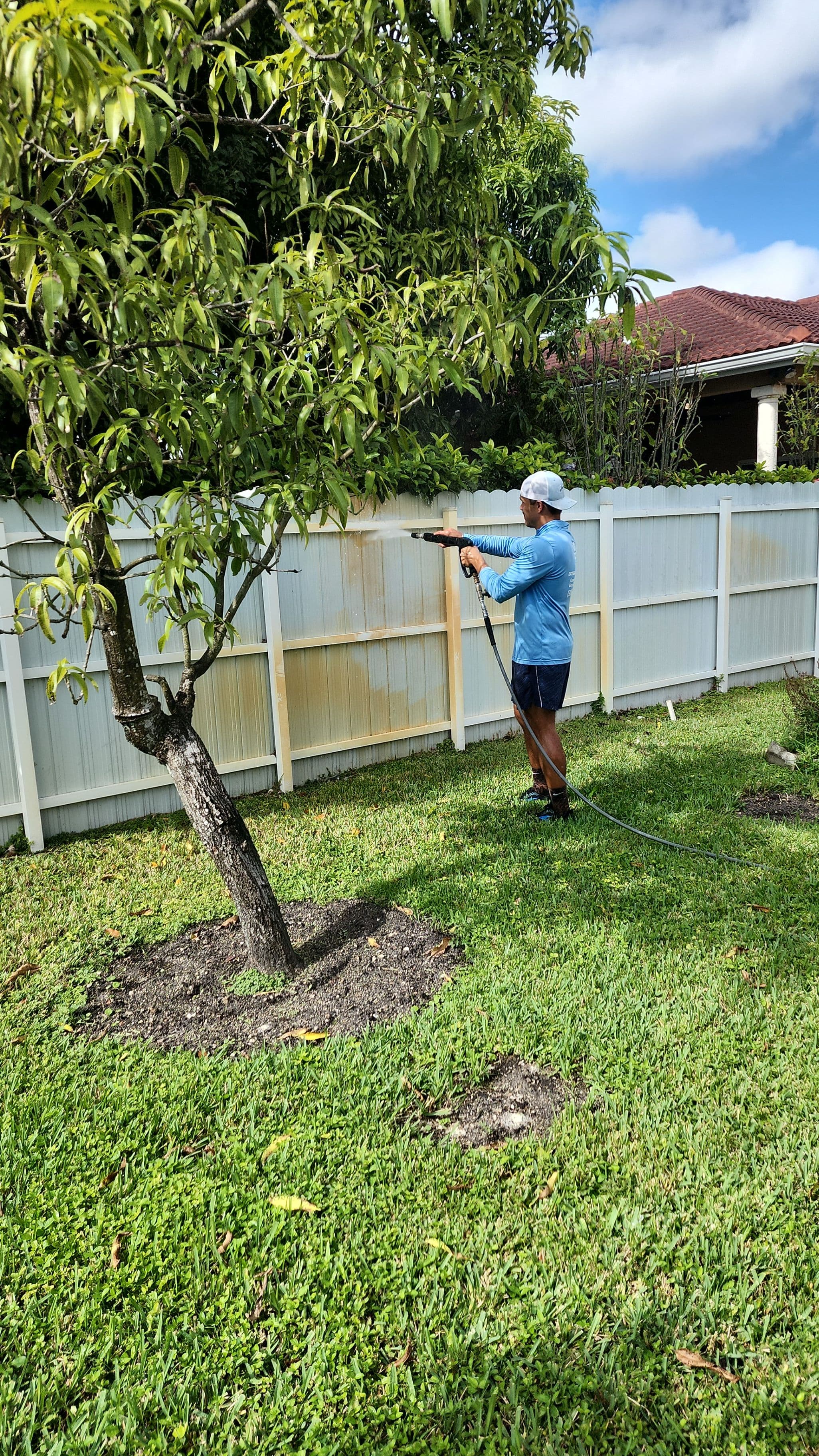 Project Expert Yard Cleanup and Maintenance image