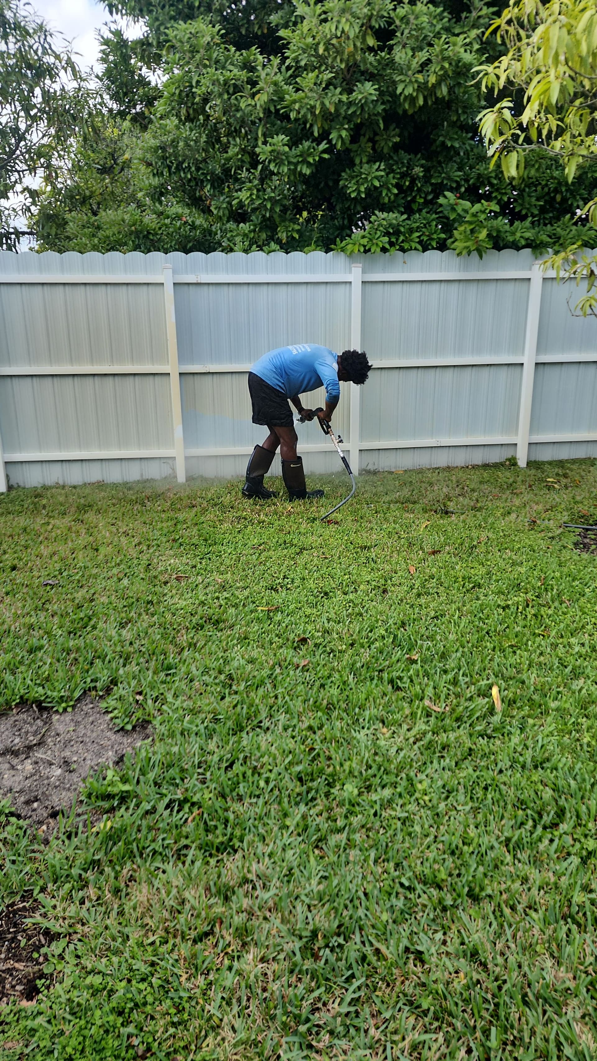 Expert Yard Cleanup and Maintenance