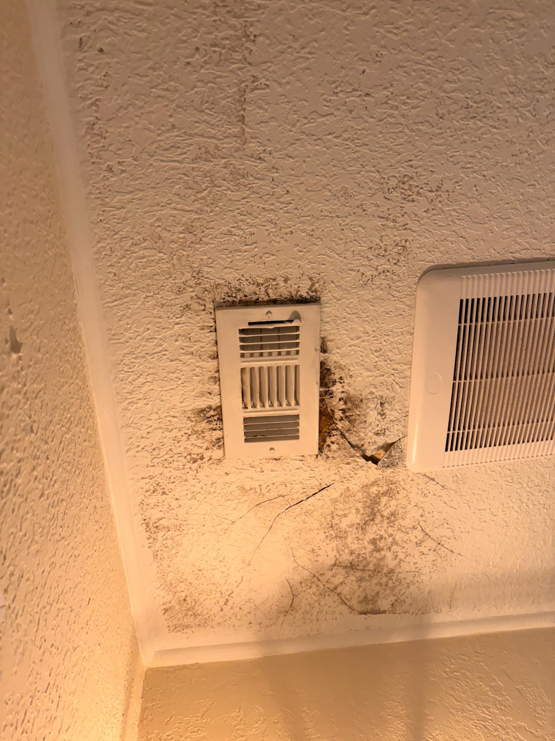 From Moldy Ceilings to Modern Spaces