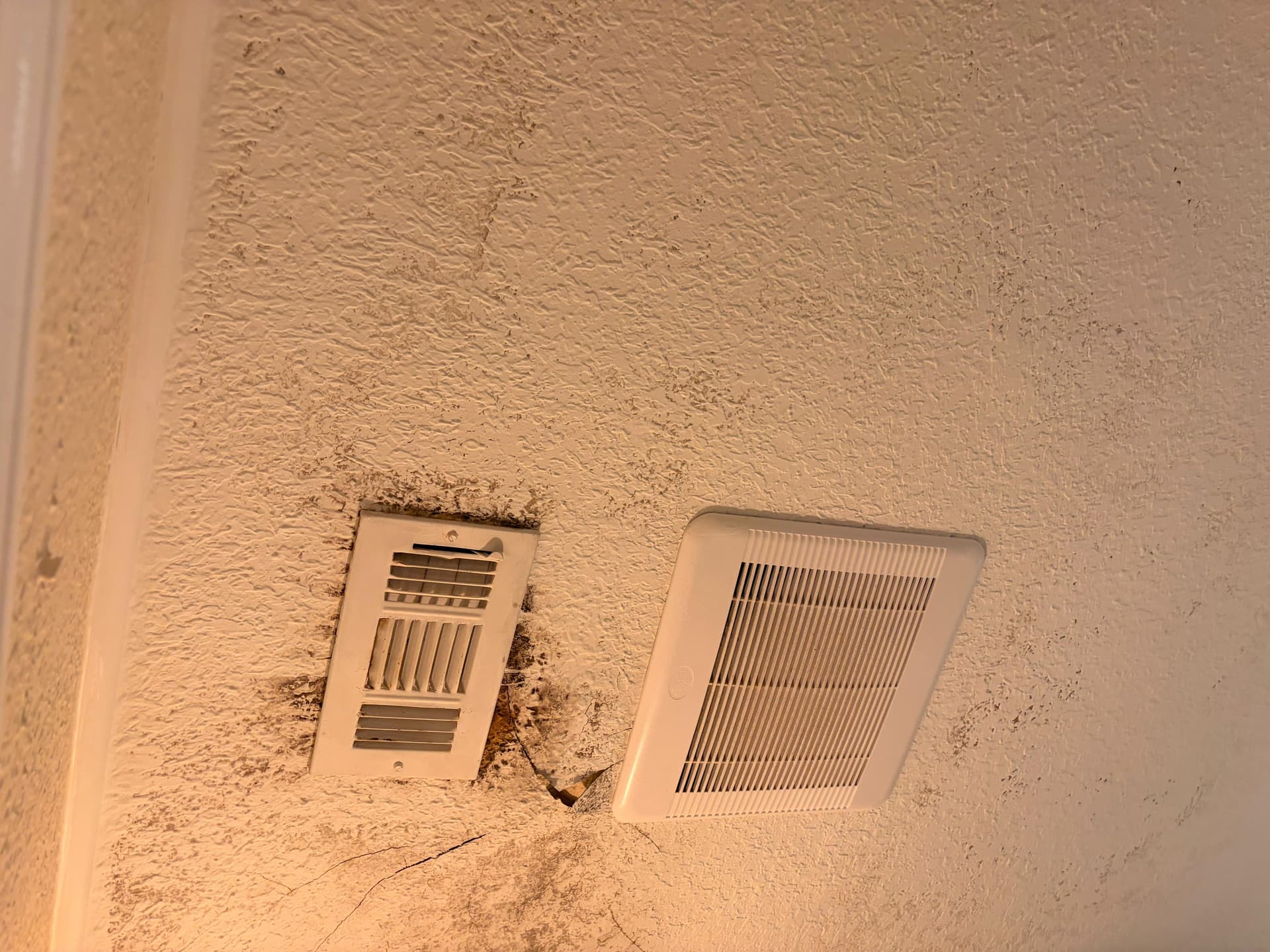 From Moldy Ceilings to Modern Spaces
